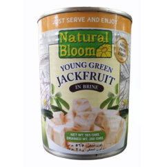 Natural-Bloom-Young-Green-Jackfruit-565g