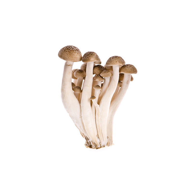 natures Brown Beech mushroom - Oceanic Supermarket
