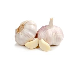 Fresh Garlic